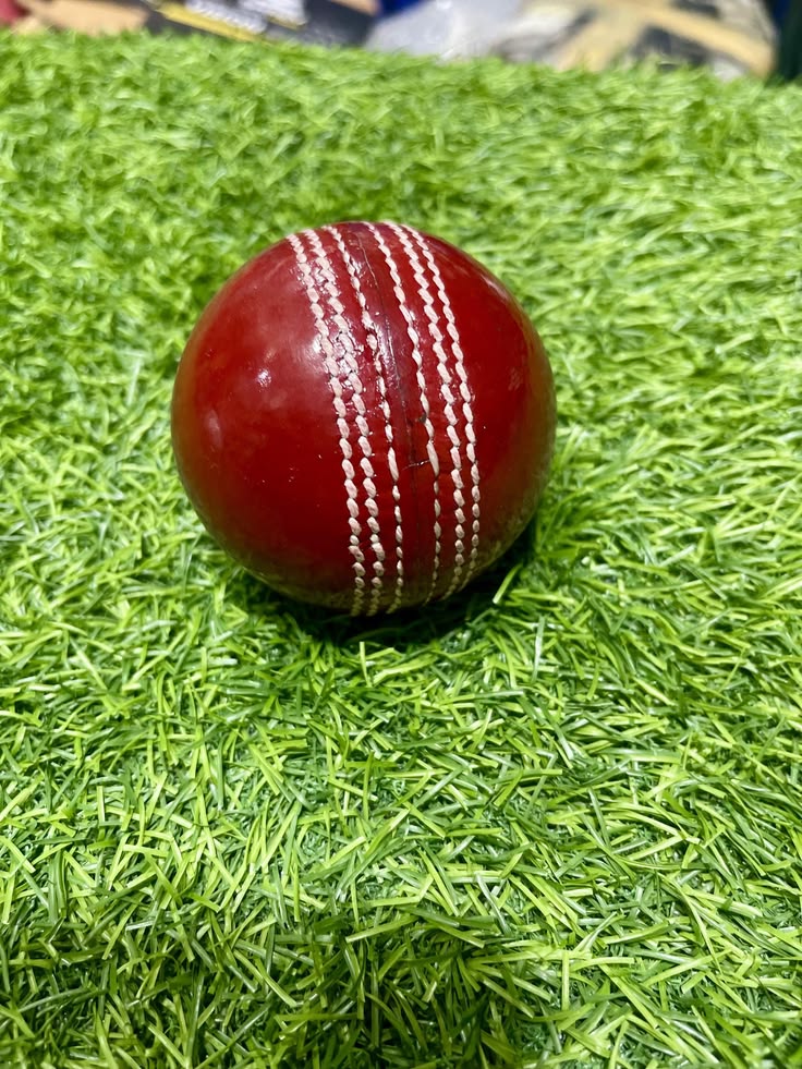 SS Elite Leather Cricket Ball
